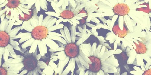 Tenrifada_'s profile banner image