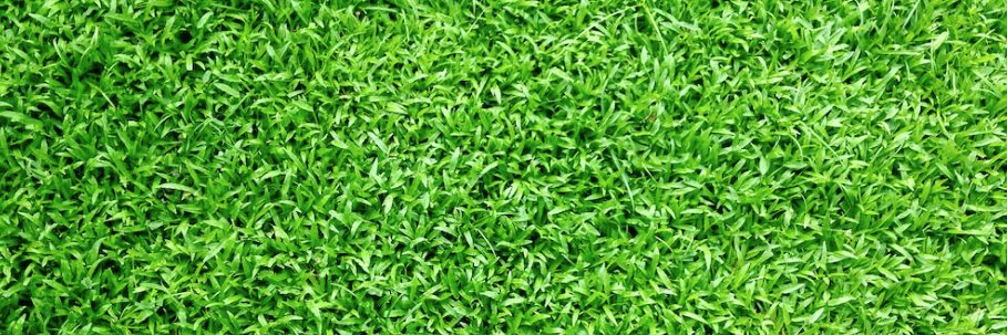 Clint harrison banner