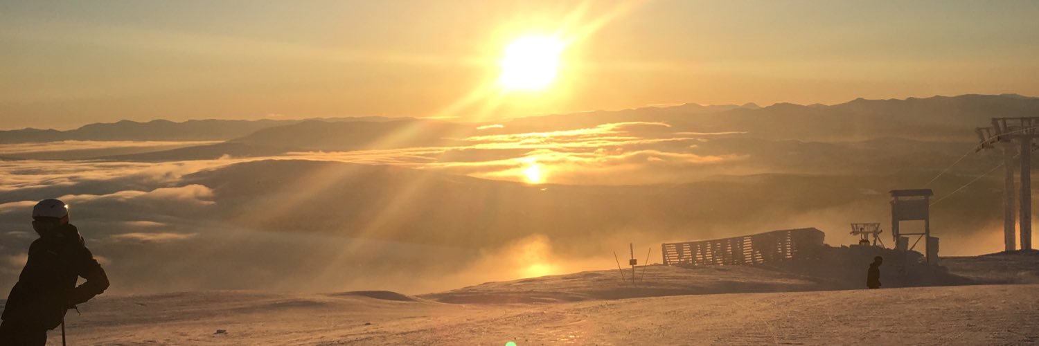 ffriidaeriksson's profile banner image