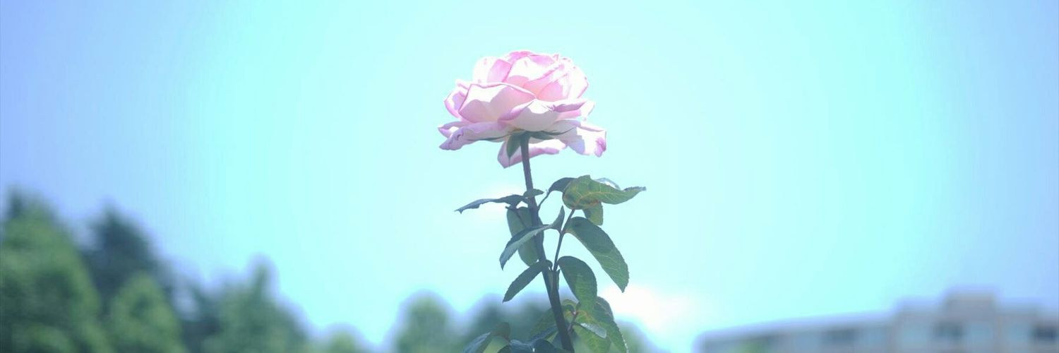 hapihapu's profile banner image