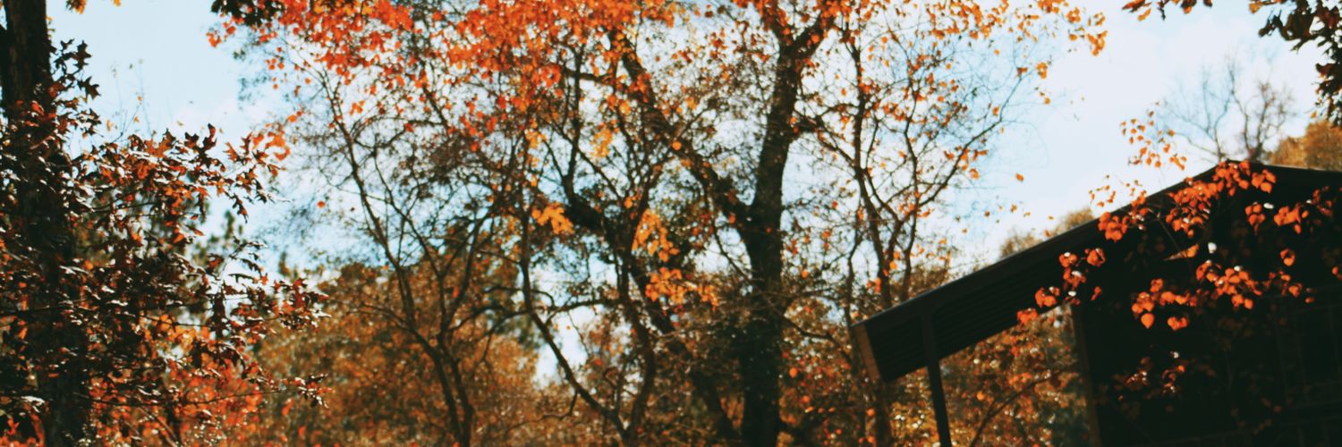 sleebyhed's profile banner image