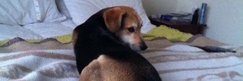 cesardelbom's profile banner image