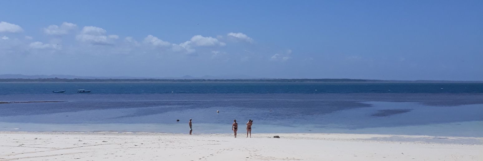 Victor P. (@fotoholico) / Posts / X