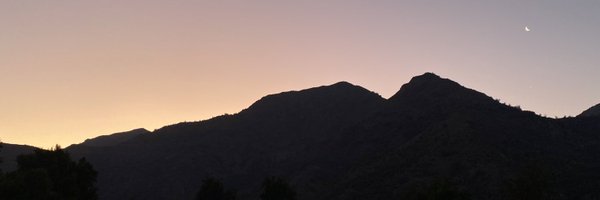 DavidBulla20 Profile Banner