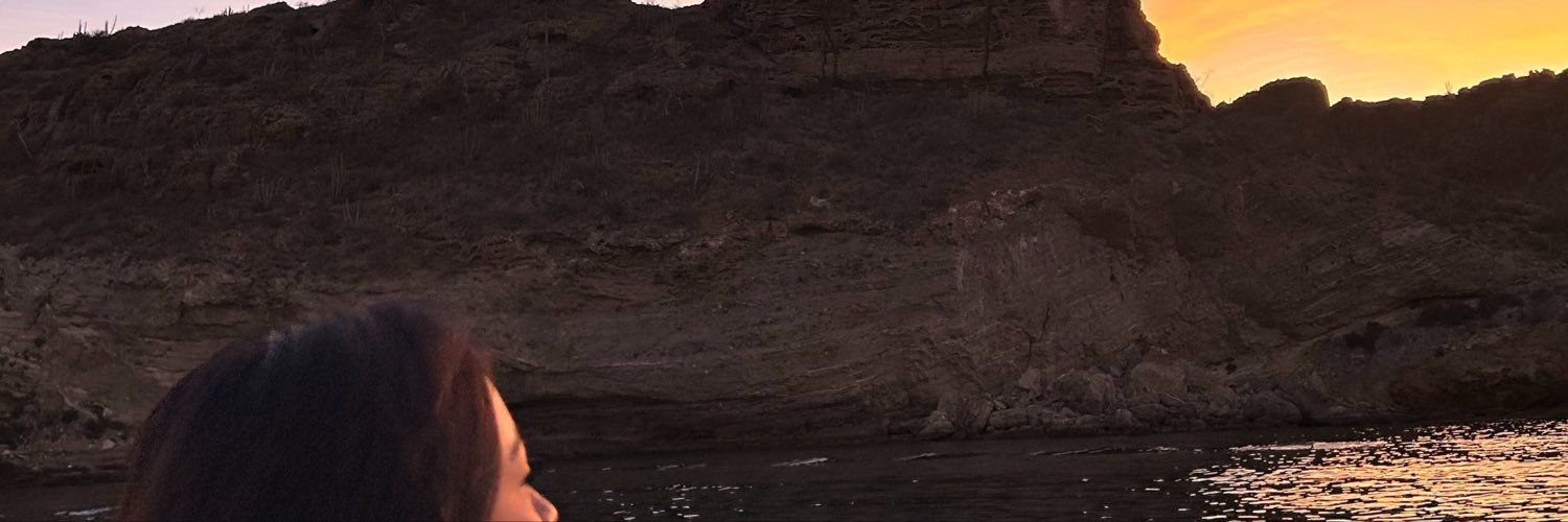 DianisRodrigues's profile banner image