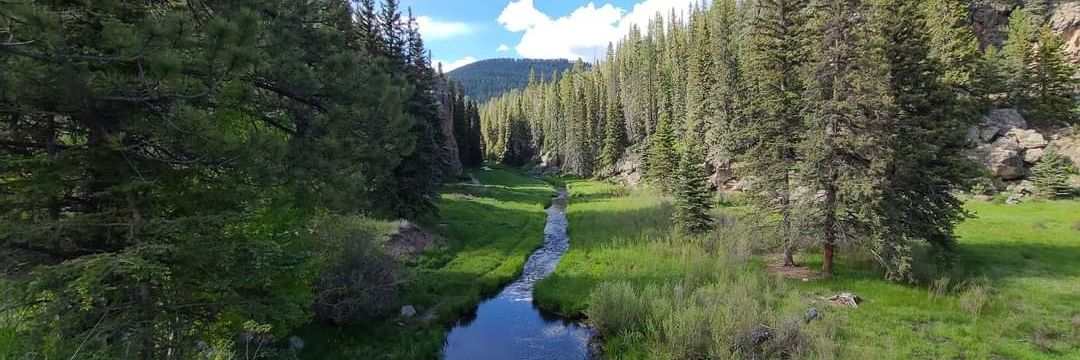 Lisa K 🏴󠁧󠁢󠁳󠁣󠁴󠁿🍁🇺🇦🌻🇺🇲 banner