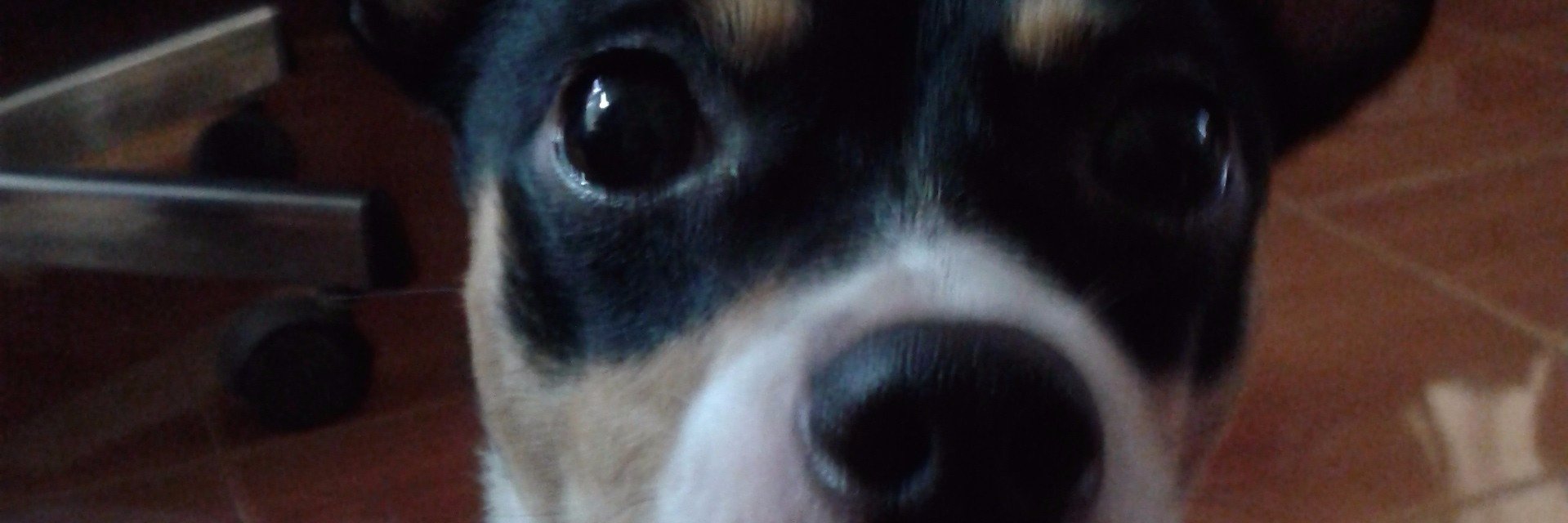 Chaiyanan🧡🍊 banner