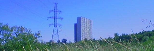 (rest) gatta patata🌾🐾 banner