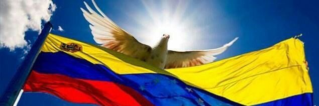 marybel cayama banner