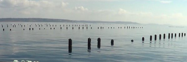 Sustainable Aquaculture Futures banner