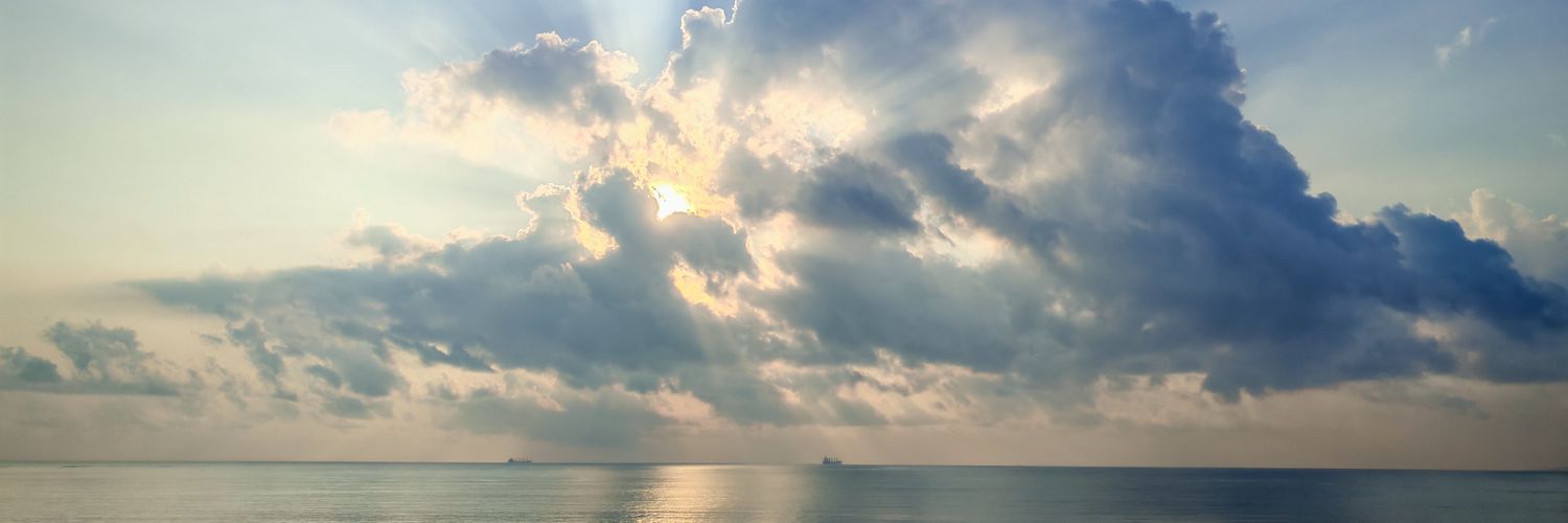 delimonza's profile banner image