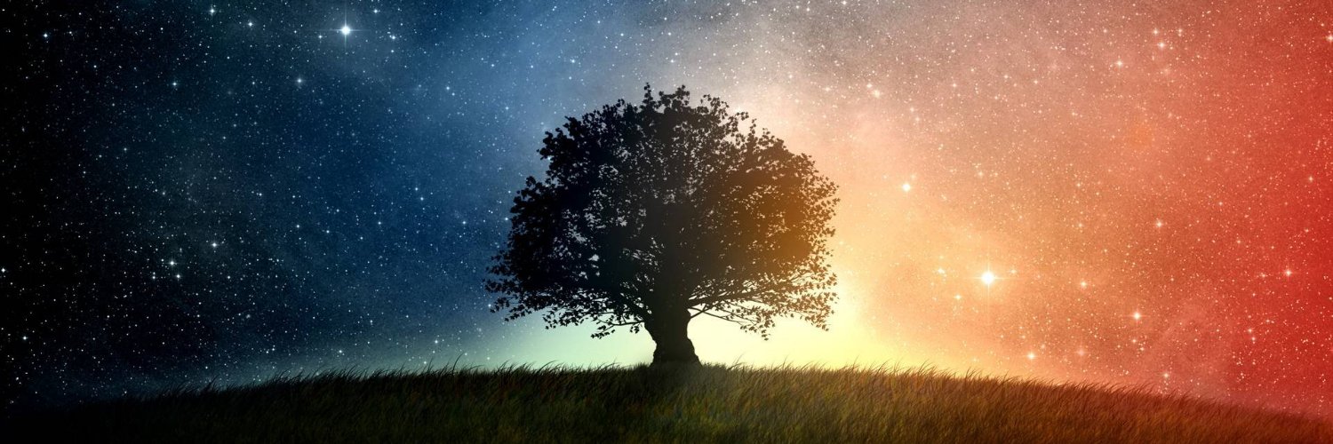 MoreLikeReality's profile banner image