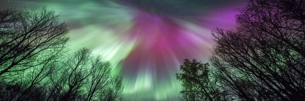 FabiRomanoMD Profile Banner