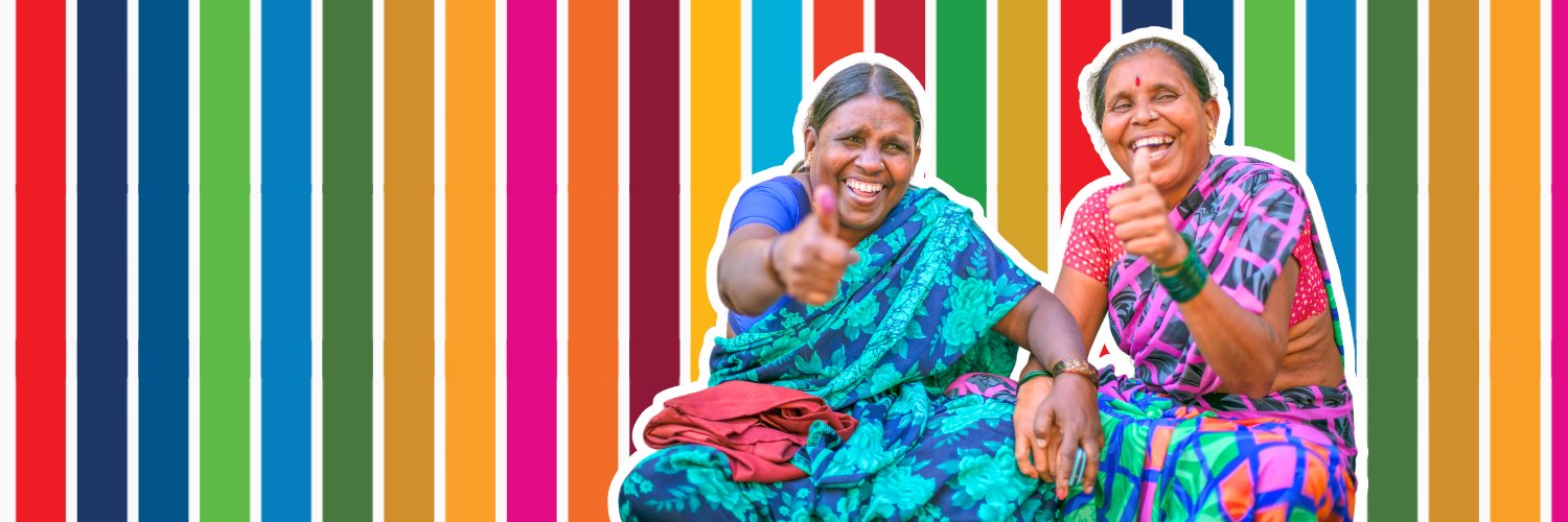 UNDP India's banner
