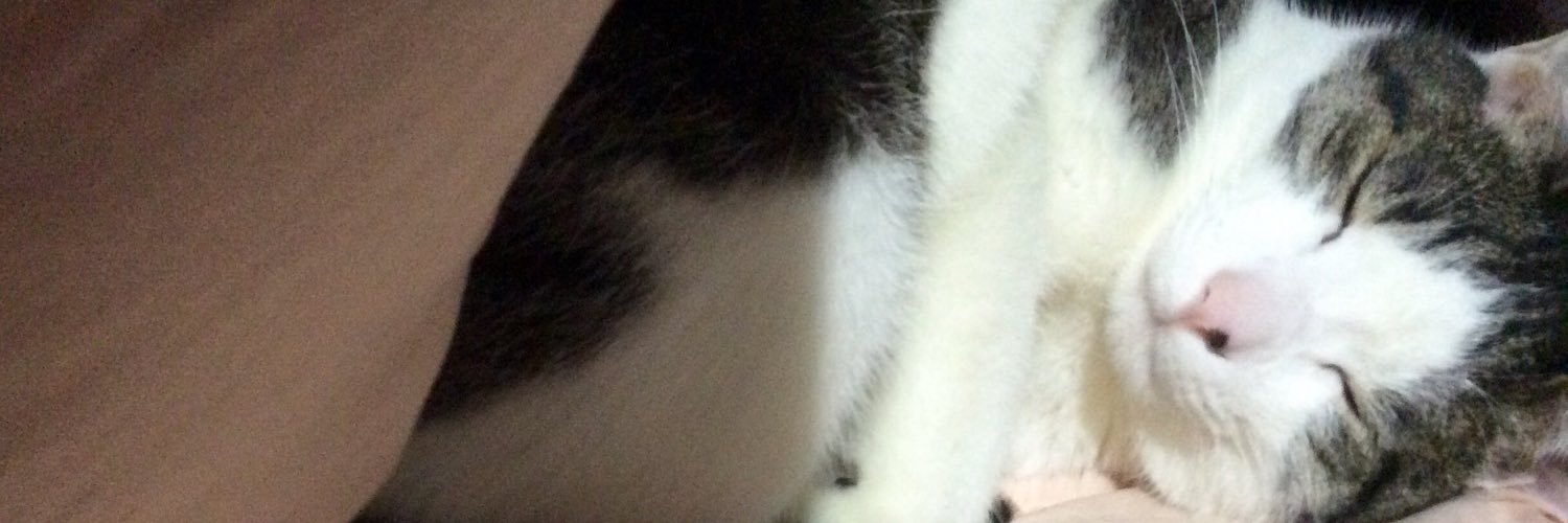 tanu_kitune's profile banner image