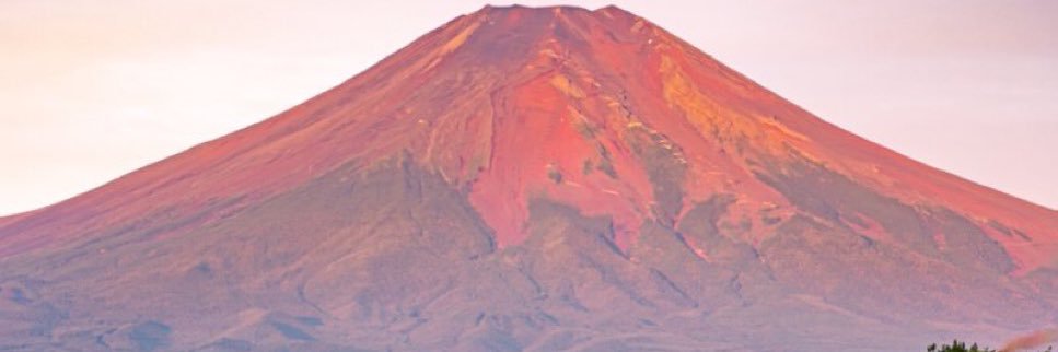 rook_y's profile banner image