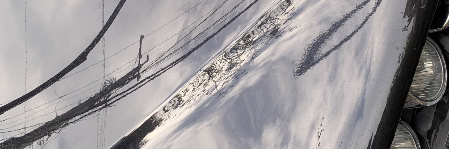 wombat's banner