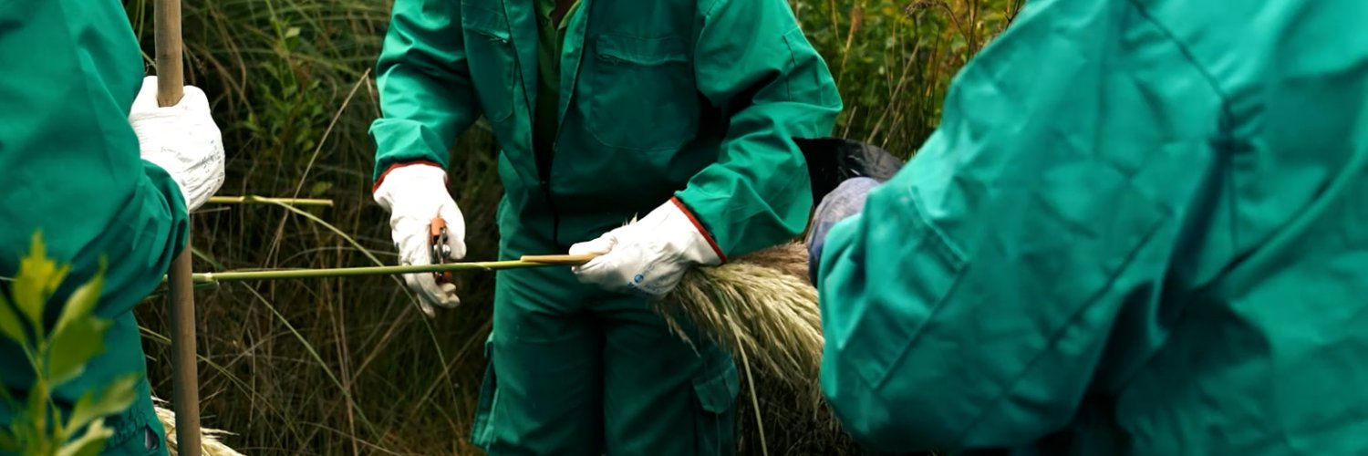 LIFE COOP Cortaderia's banner