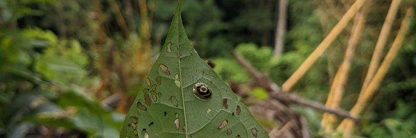 MarlenyGarciaL1 Profile Banner