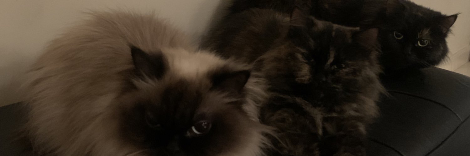 NonhumanEntity's profile banner image