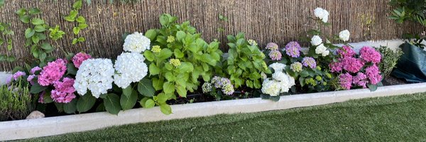 ElisaYorkMD Profile Banner