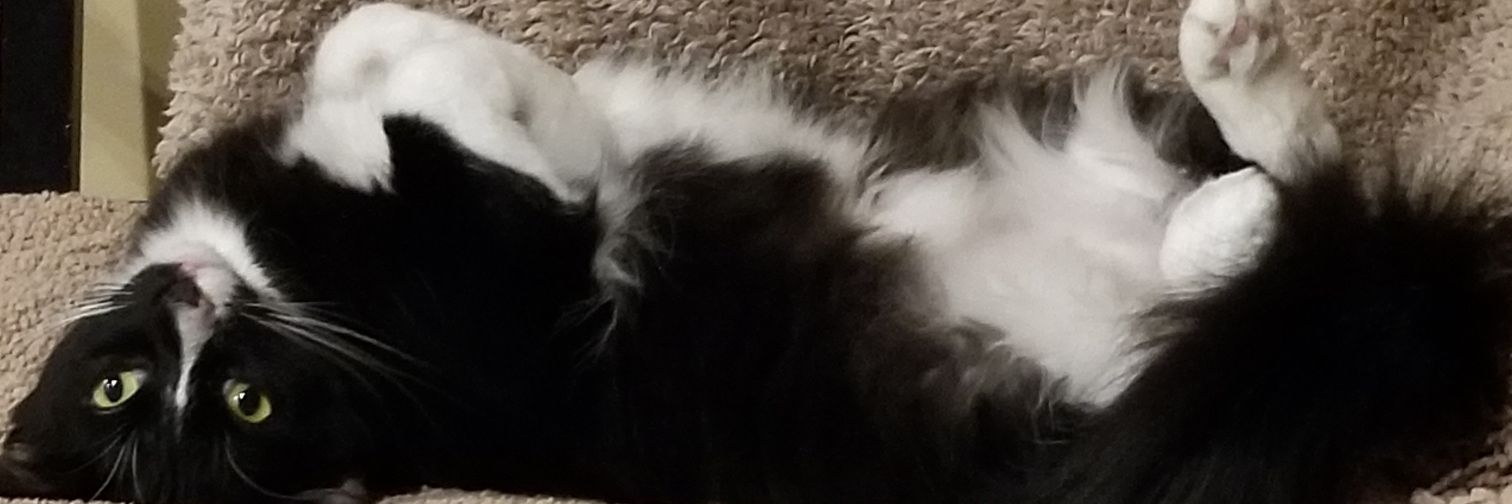 Kid Squiggy McGhee banner