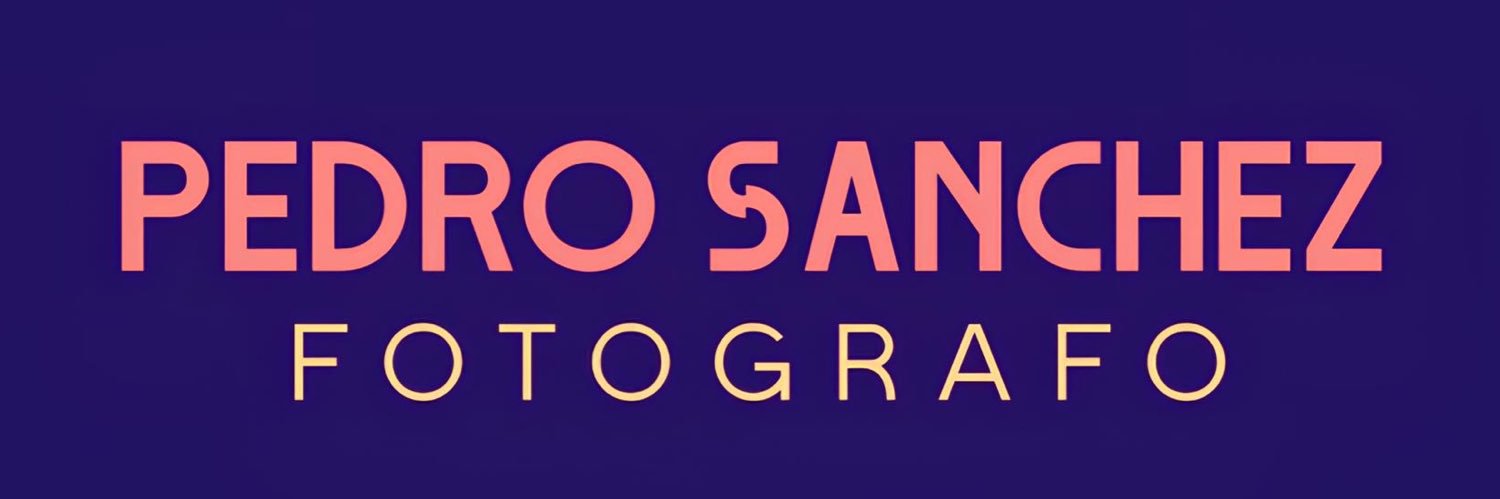 Pedro Sánchez banner