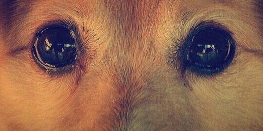 FCLazz's profile banner image