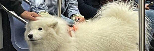 tttustu's profile banner image