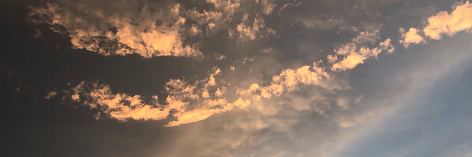 leenvk's profile banner image