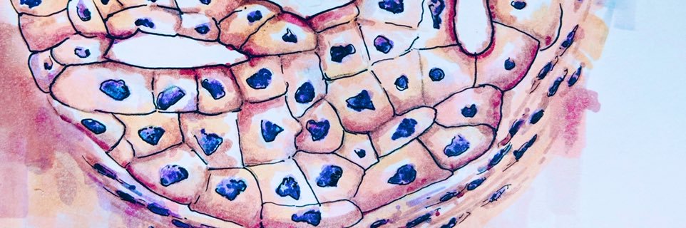 Sangeetha N Kalimuthu banner