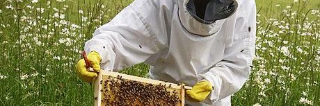 Derry and District Beekeepers banner