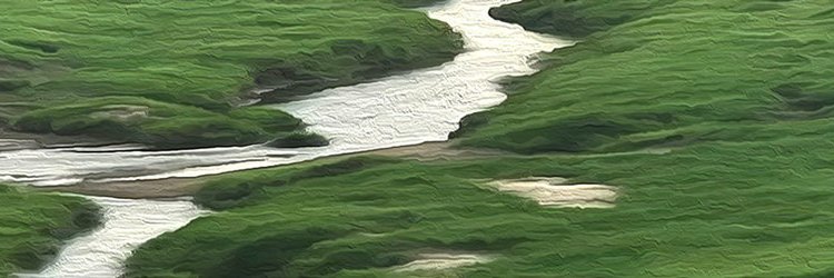 Backchannels Journal banner