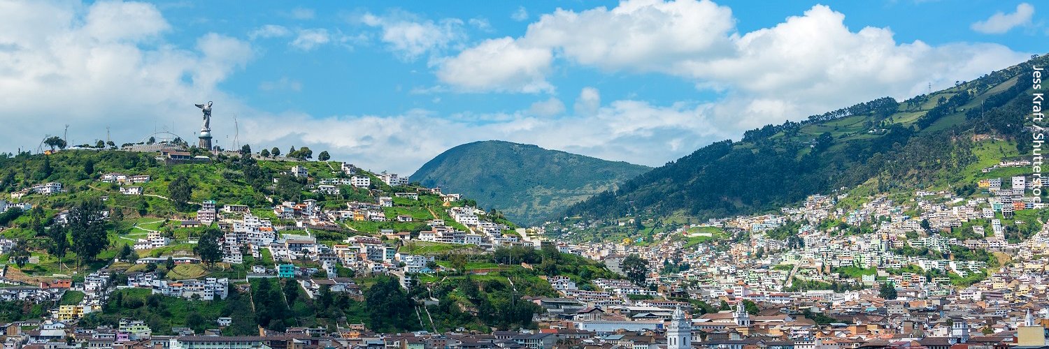 Anna Wellenstein banner