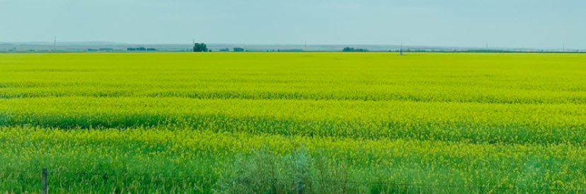 Shewins10's profile banner image