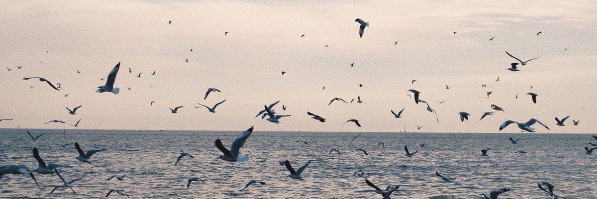 undecayinglove's profile banner image