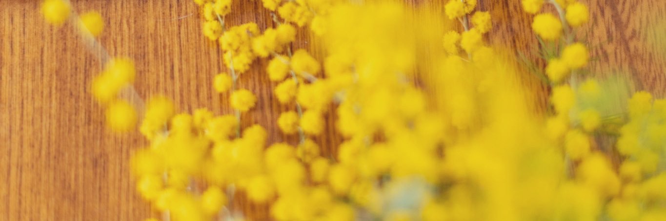 meltedmeadow's profile banner image