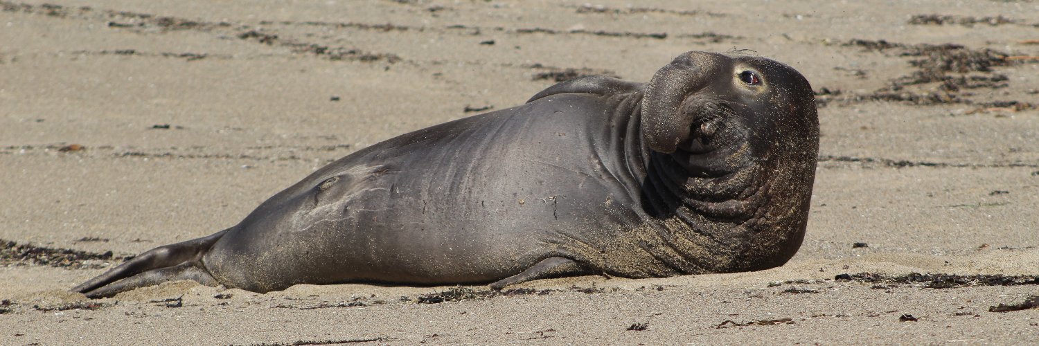 Can'tGetNo... banner