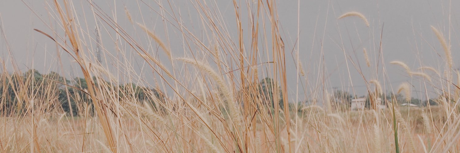 dindautamip's profile banner image