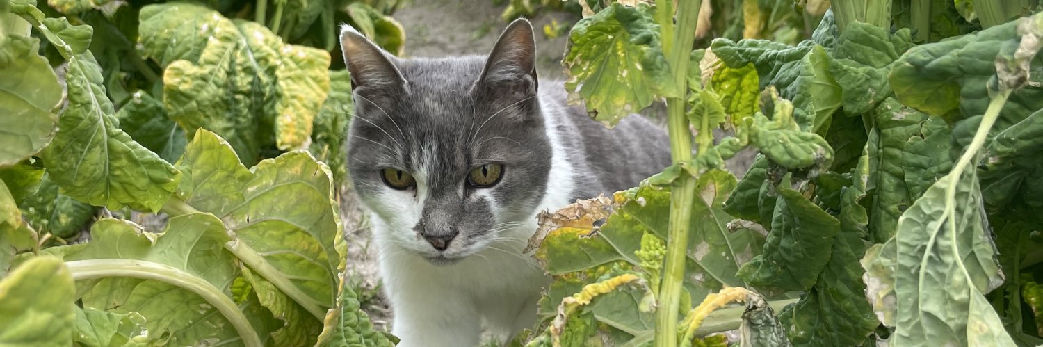 ひまり/素人兼業農家（☺️） banner