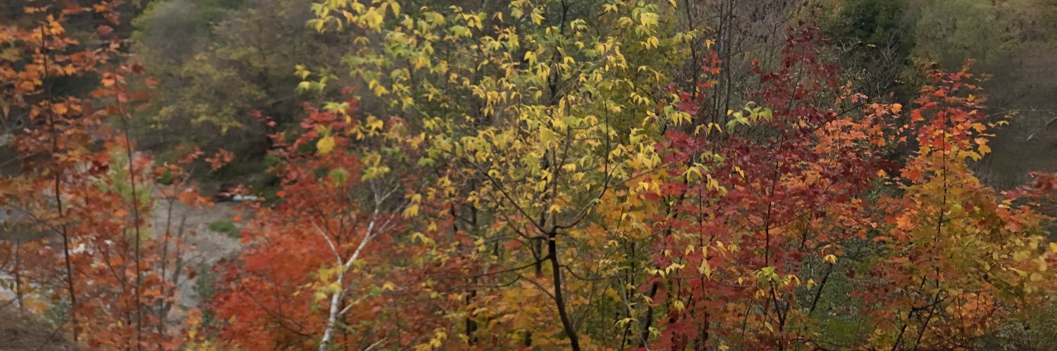 vnarula16's profile banner image