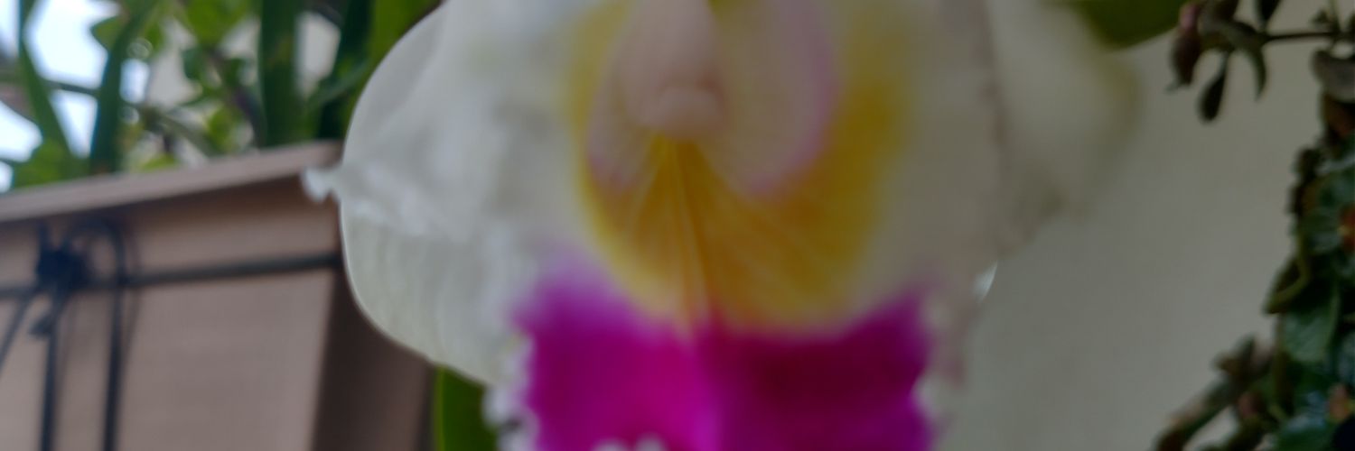 Thor349's profile banner image