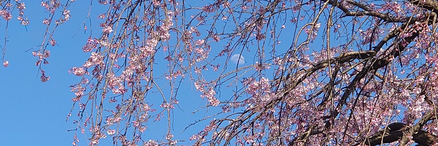 neromiru's profile banner image