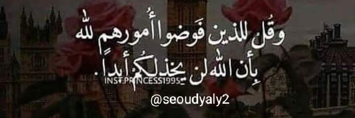 seoudyaly2's profile banner image
