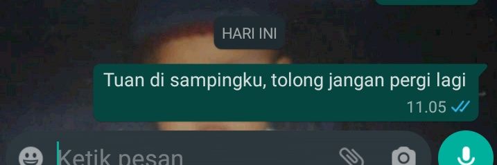 lupis banner