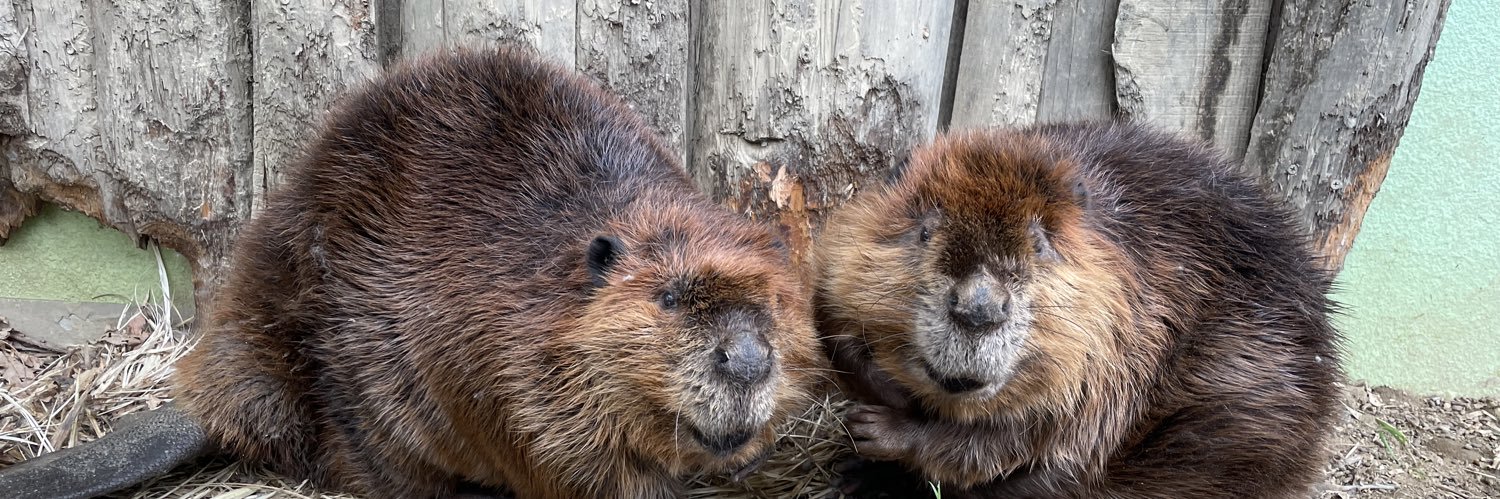 飯田市立動物園 【公式】's banner