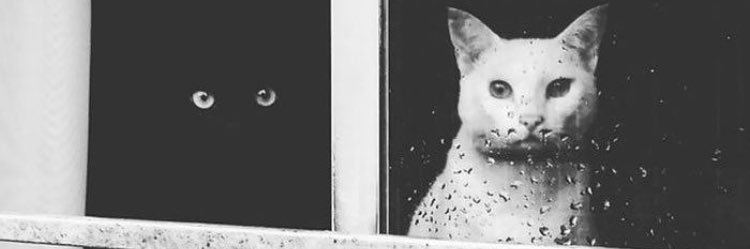 ndrolga's profile banner image