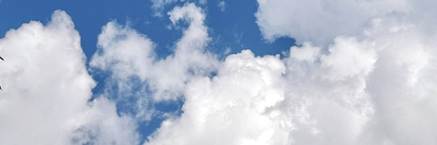 virgincry's profile banner image