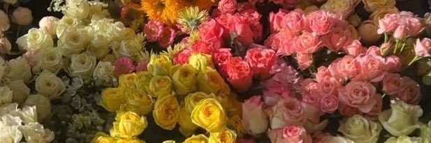 🇸🇦⚪️ banner