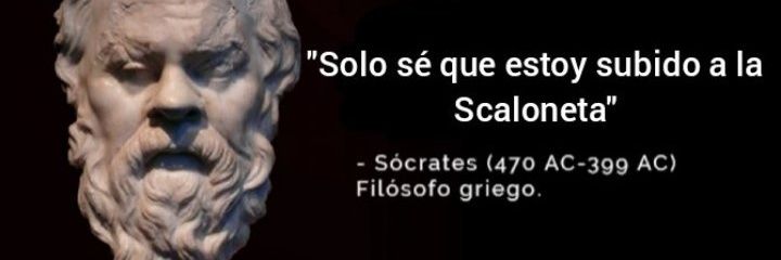 sofinovasio's profile banner image